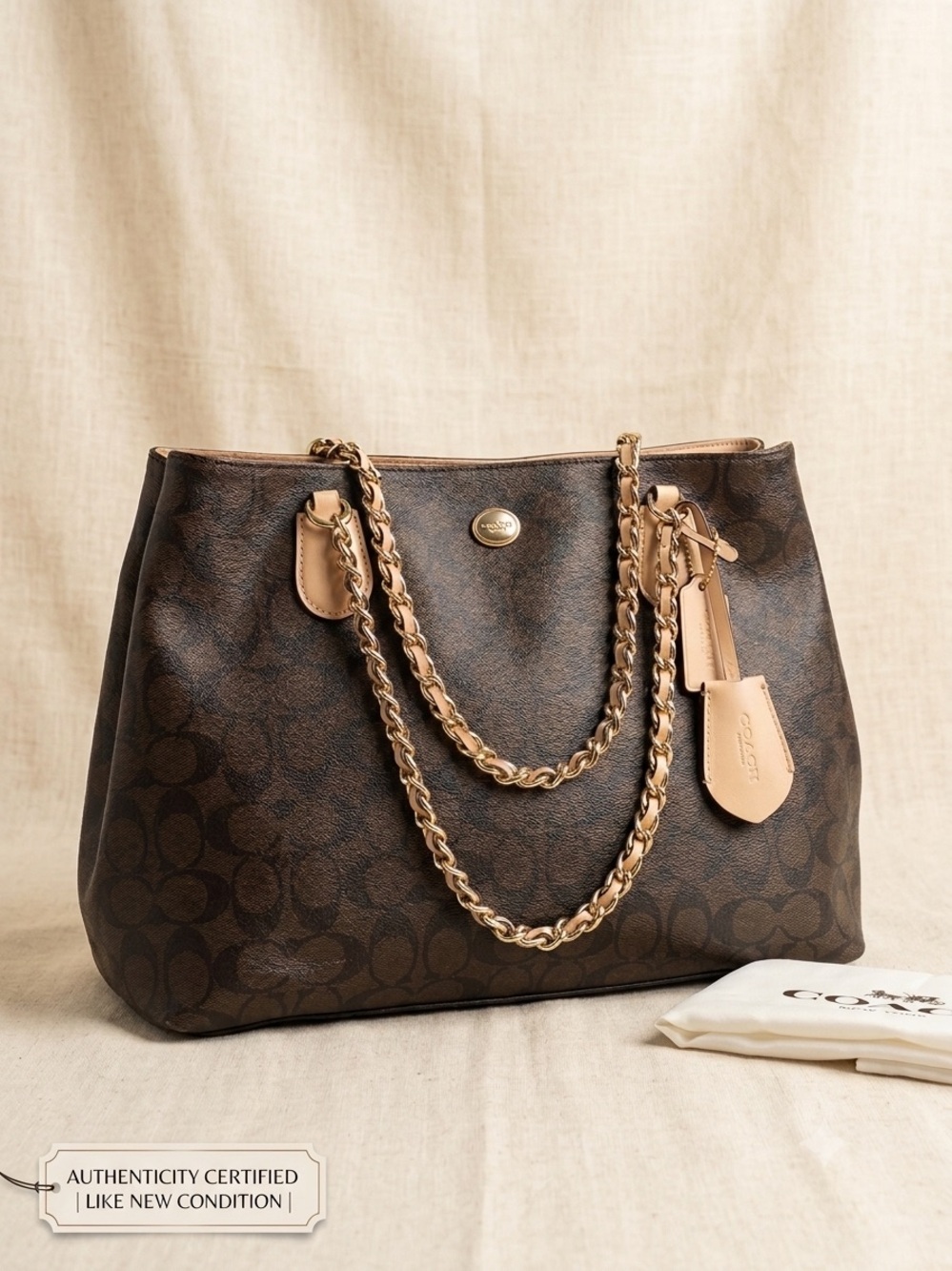 Coach Peyton Signature Chain Tote Bag